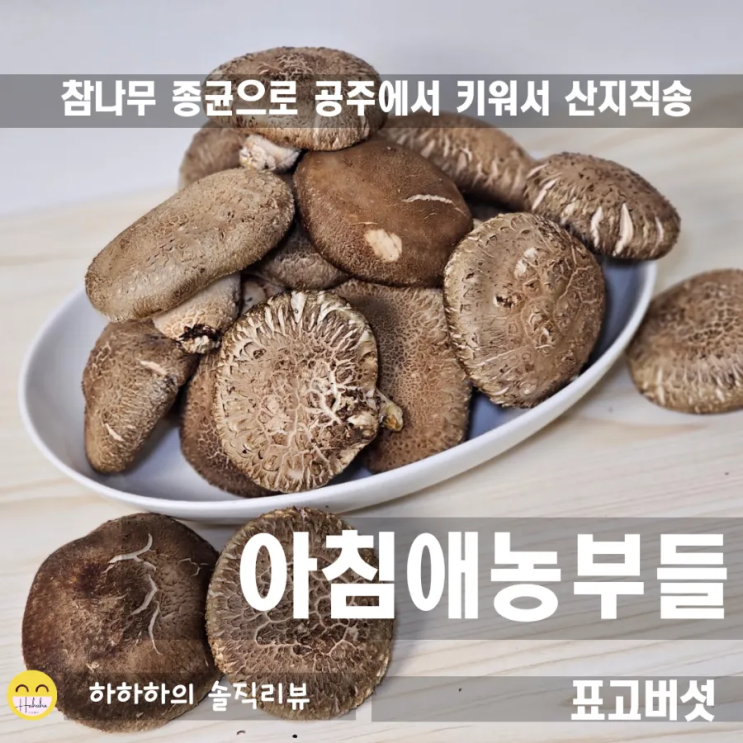  참나무 종균 표고버섯1kg 아침애농부들 특징