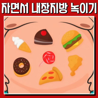 내장지방 태우는 수면 다이어트