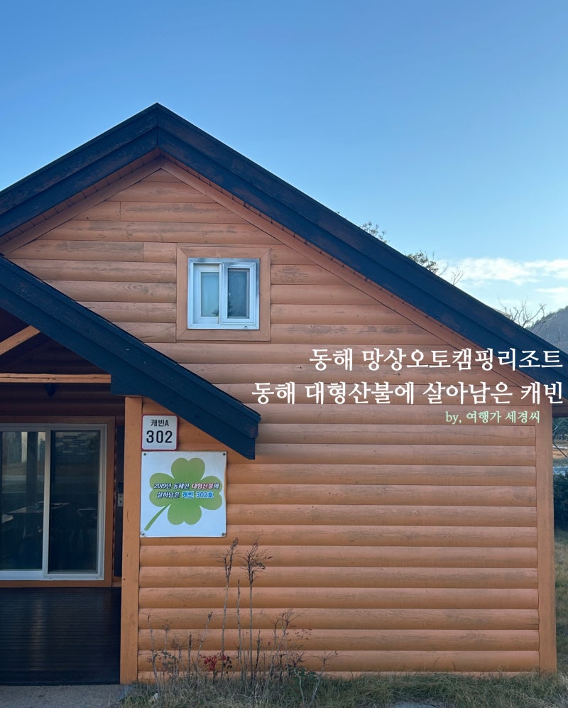 동해 망상오토캠핑리조트 캐빈하우스/바비큐/예약 방법