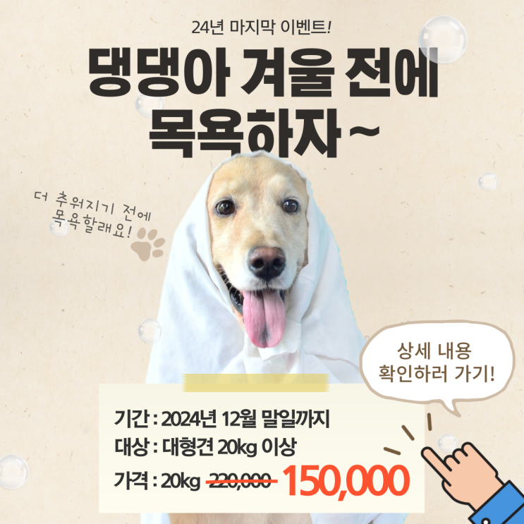  [펫VIP]2024 대형견방문목욕, 할인이벤트 시작!