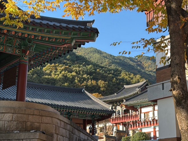  [구례] 전남 단풍 아름다운 곳, 화엄사