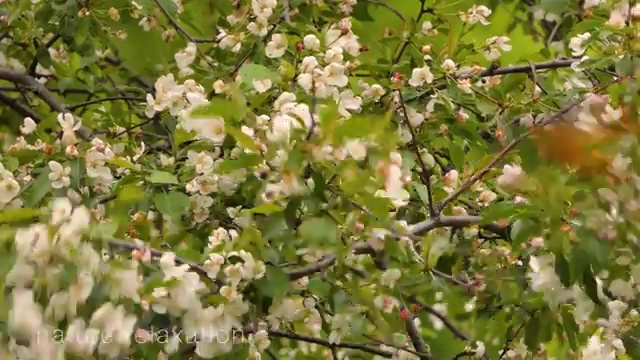  수산물 품질관리사 자격증 , 합격 후기