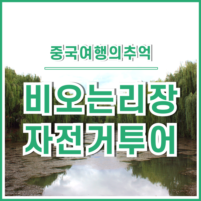  [차마고도] 비오는 날의 리장 인근을 자전거로 다녔던 추억 (feat.흑룡담공원)