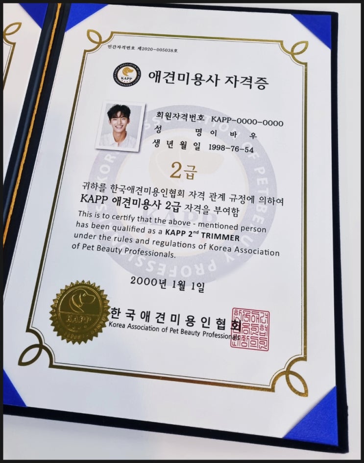  부천 애견미용자격증 2급 6개월 단기 취득후 필드 대비 교육