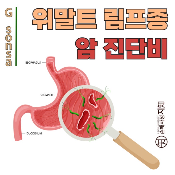  위말트 림프종(C88.4) 암진단비 받는 방법 알려드립니다. - [엄마의 질병, 1부]