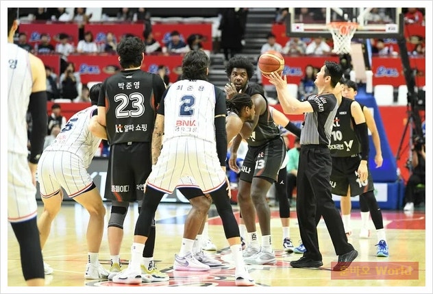 KBL 시청률, 한 시즌 만에 '반토막'…프로농구 위기의 원인과... 