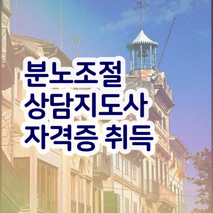  군대 자격증 추천 , 분노조절상담지도사 관련학위 없어도 온라인 과정만으로 단기간에 끝냈던 노하우