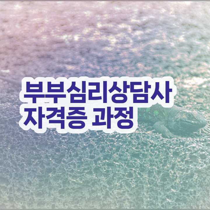  1급부부심리상담사학원추천 , 부부심리상담사 자격증 준비한 방법 공유드려요