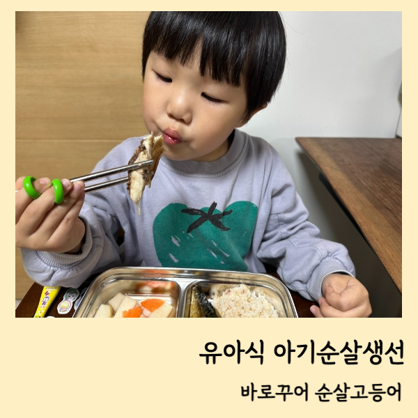 유아식반찬 아기 순살 생선 고등어구이 비린내 없이 생선굽기 5살 최애 반찬