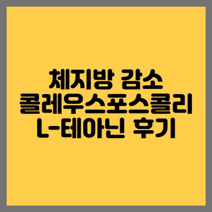 체지방 감소를 위한 콜레우스포스콜리 L-테아닌 후기