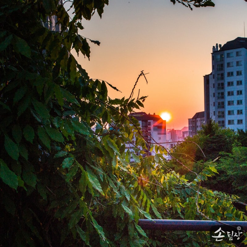 전입세대 열람 내역서 주민센터(동사무소)에서 발급 방법 및 준비서류