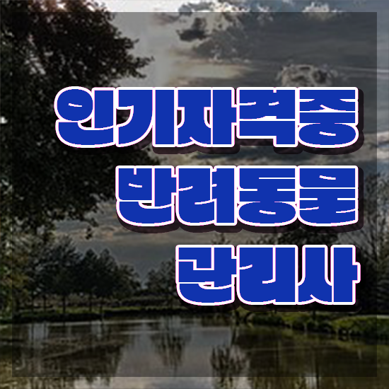  반려동물 생활관리사 , 반려동물관리사 자격증 온라인으로 간단히 취득했던 후기 및 무료수강 혜택