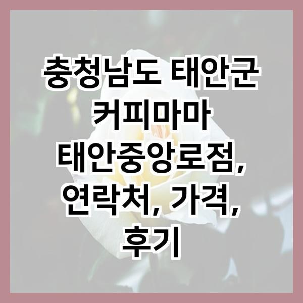 커피마마 태안중앙로점 사진 2