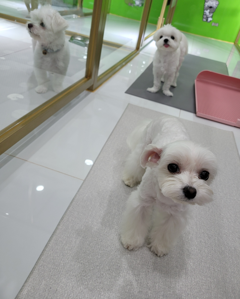 사진 2