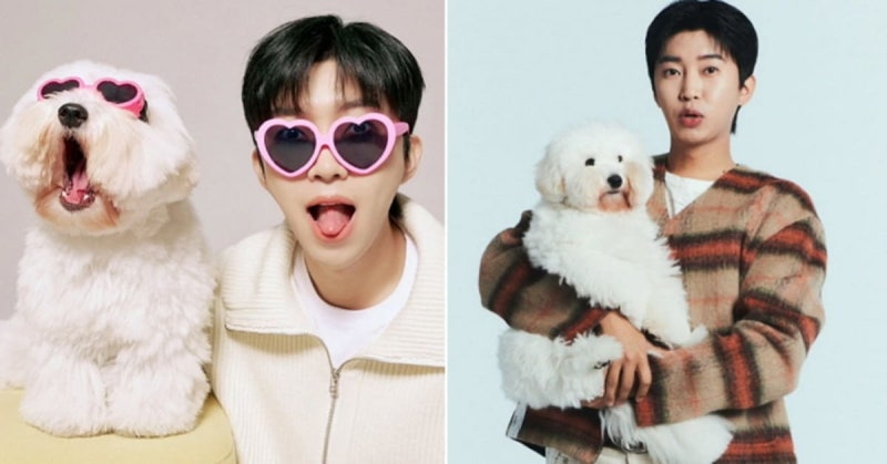 "뭐요"...임영웅, DM 논란 가짜 뉴스? 황교익 "시민 모욕" 지적 (+PD, 탄핵, 인스타)
