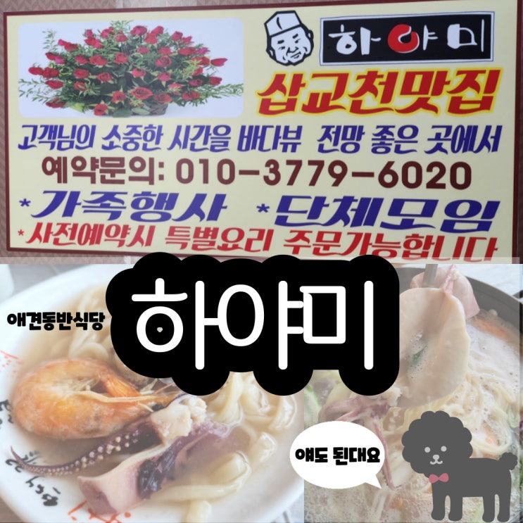  삽교천횟집 바다뷰 전망 좋은 하야미에서 해물칼국수 애견동반