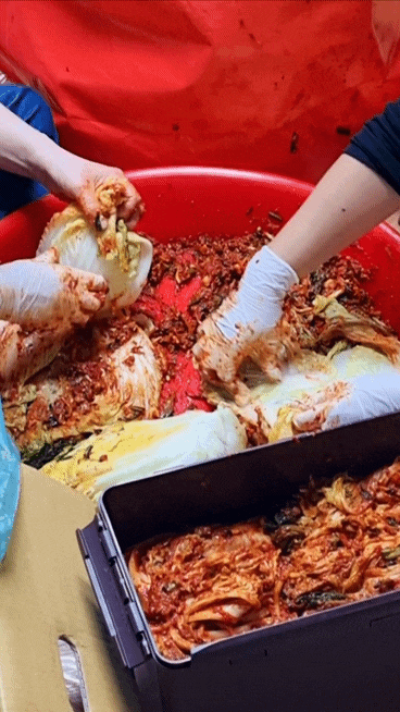  김장김치 맛있게 담그기 절임배추 and 돼지수육