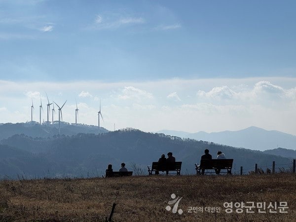  [영양군 홍보] 영양군 청춘남녀 만남행사