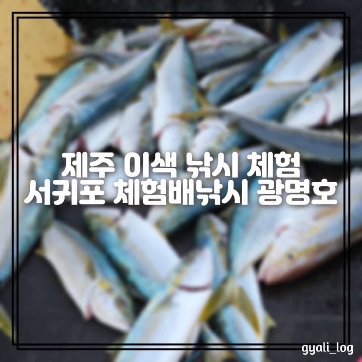 제주 서귀포 체험배낚시 광명호 초보자도 쉽게 즐기는 지깅낚시-대방어,부시리,잿방어 제주 서귀포 체험배낚시 광명호 초보자도 쉽게 즐기는 지깅낚시-대방어,부시리,잿방어