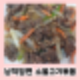 납작 당면 요리 트레이더스 양념소불고기 맛꿀마 저녁 메뉴 추천