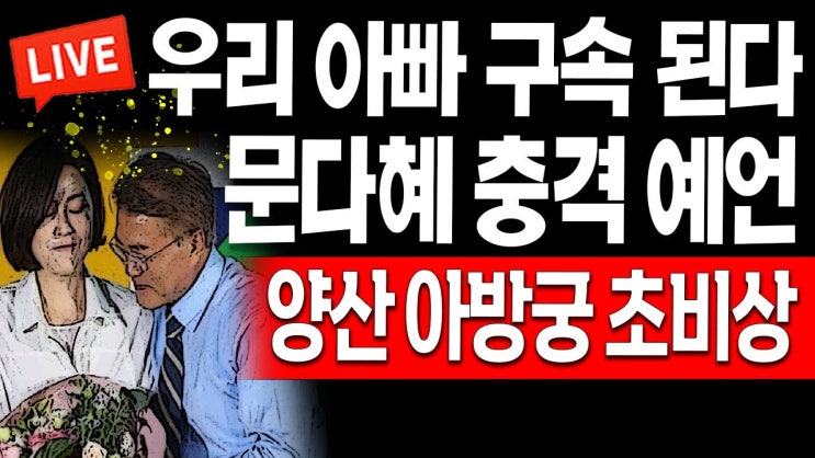 <b>문다혜</b> <b>음주운전 불법숙박업</b>, 폭풍 항해, <b>문다혜</b>의 법적 도전에... 