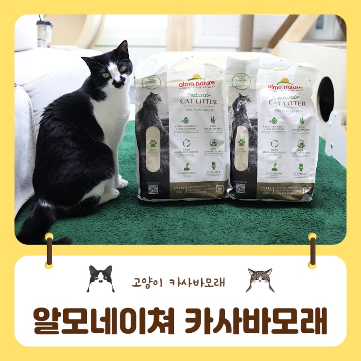  전체갈이에 좋은 고양이모래추천 알모네이쳐 카사바모래 가볍게 깨끗하게