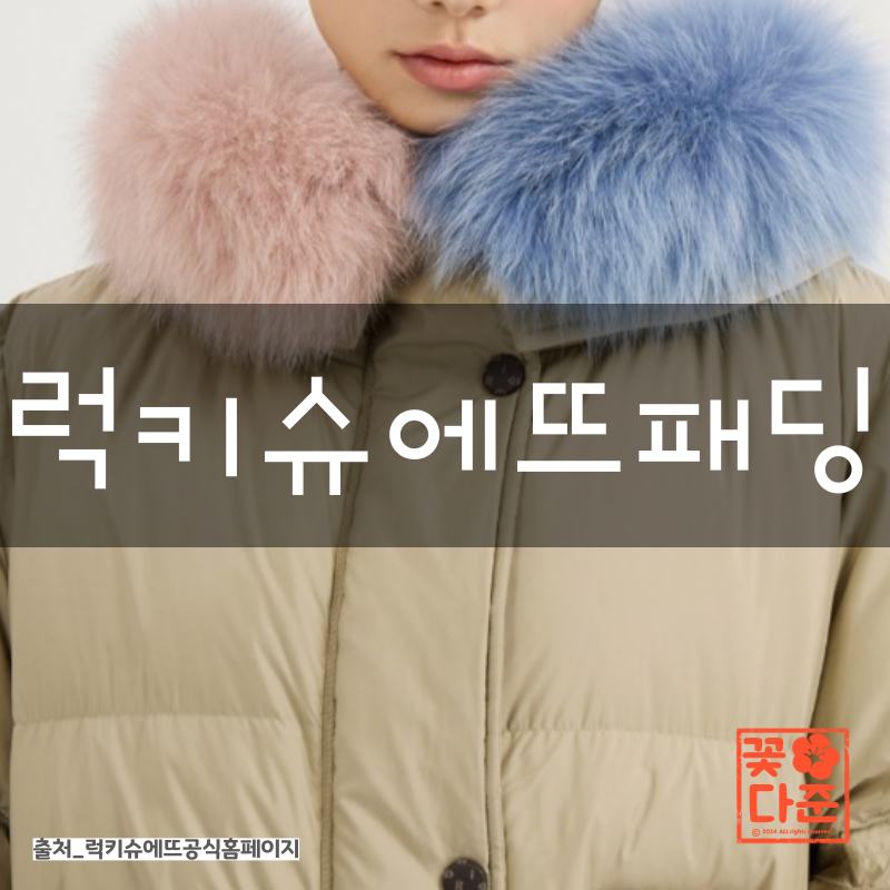 럭키슈에뜨패딩 추천 4가지 종류 가격 특징 총정리