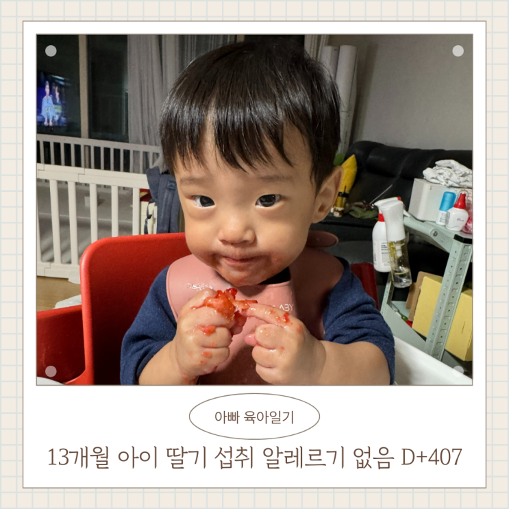 13개월 아이 딸기 섭취 알레르기 없음 D+407 13개월 아이 딸기 섭취 알레르기 없음 D+407
