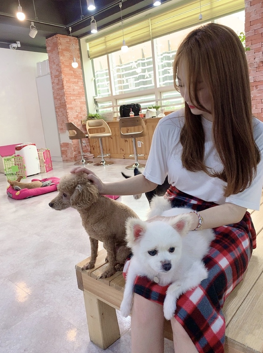 봉봉애견카페 사진 3