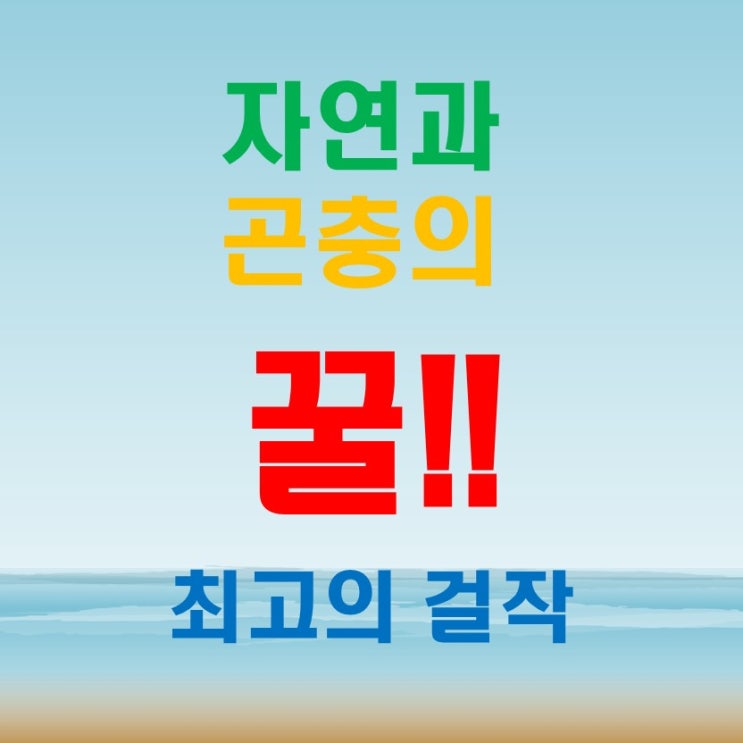 당뇨꿀 자연과 벌꿀이 주는 최고의 보약