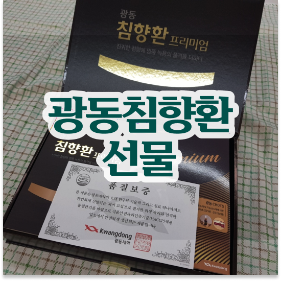  광동 침향환 프리미엄 추천 활력 올인원영양제