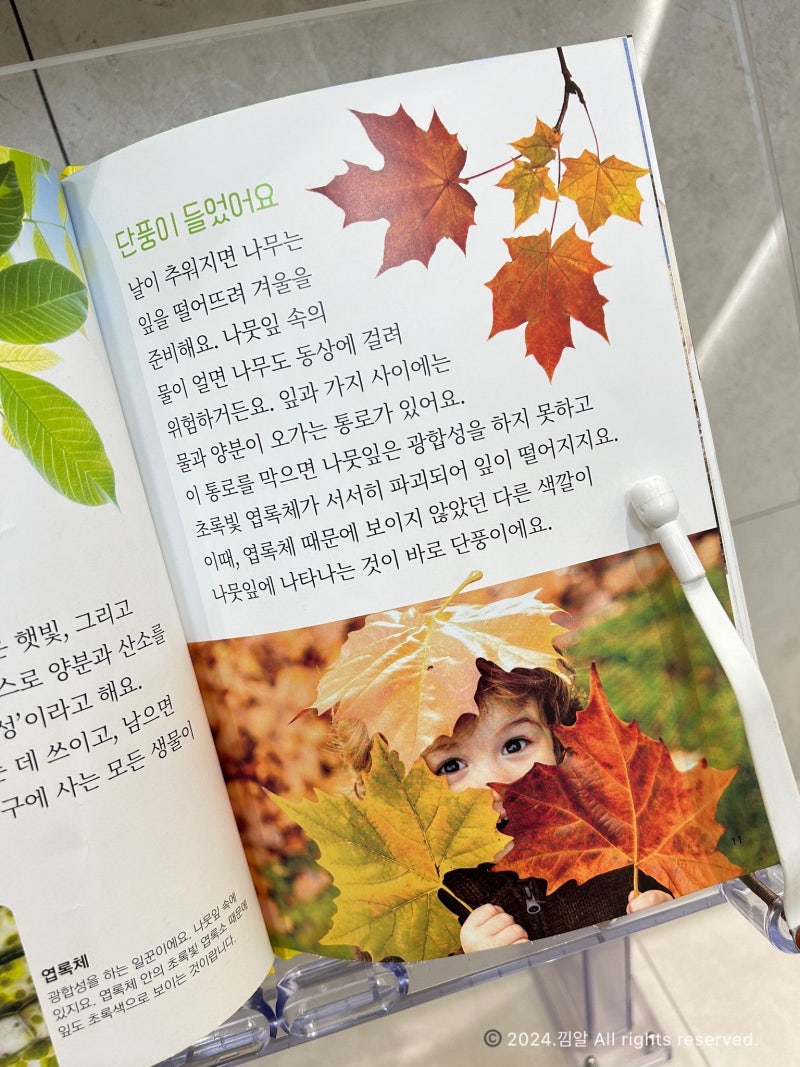 어린이 과학도서 지식백과 생각이 쑥쑥 자라는 디스커버리 첫지식백과 : 네이버 블로그, image size:800x1067