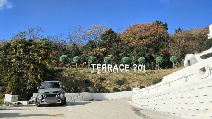  [목포] 대반동 애견 동반 가능한 오션뷰 대형카페 '테라스 201'