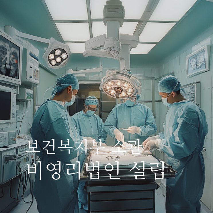  보건복지부 비영리법인 설립절차, 구비서류, 주의할 점