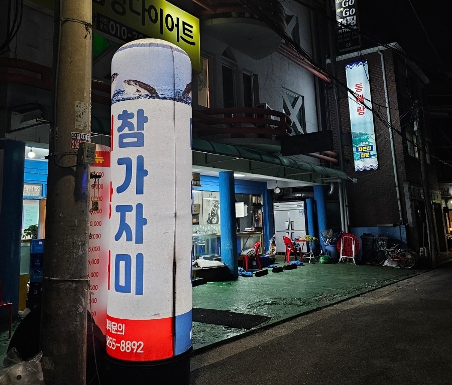동해참가자미 사진 2