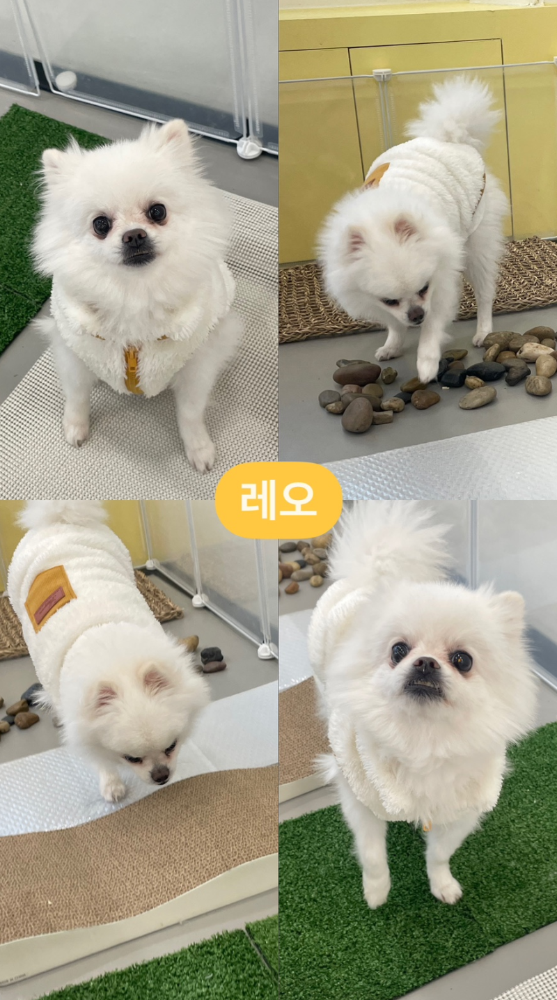 사진 8