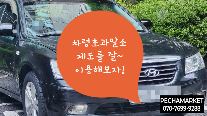  차령초과말소제도를 잘~ 이용해보자!