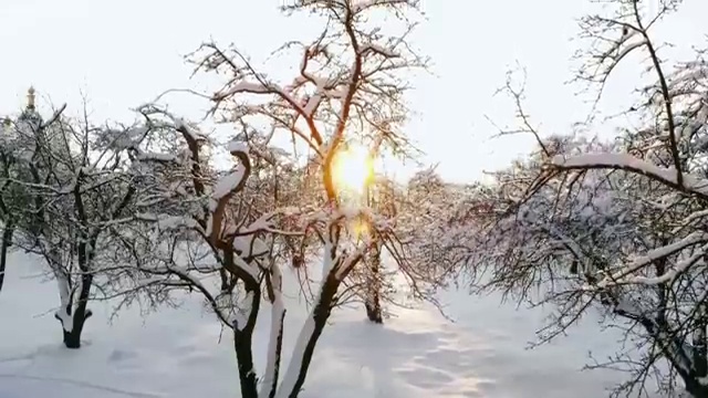  병원 코디네이터 자격증시험 , 병원코디네이터 자격증 온라인 교육으로 합격정보 , 활용 방법