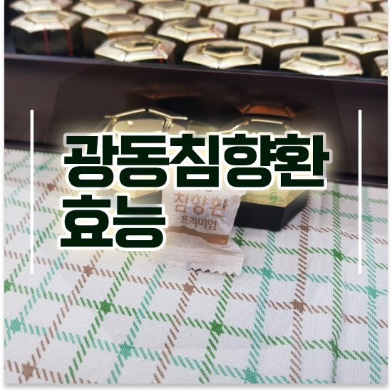 기력없을 때 보양 침향원 프리미엄 꿀팁까지