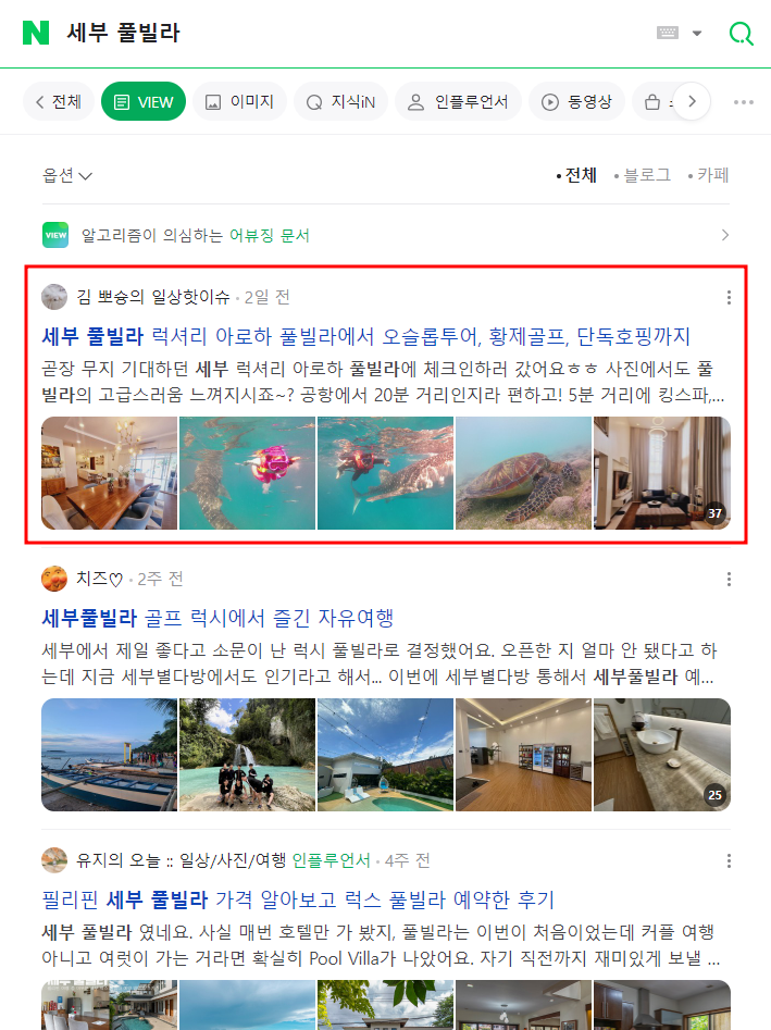  라이퍼마케팅 풀빌라 블로그마케팅 '세부 풀빌라' 작업 후기