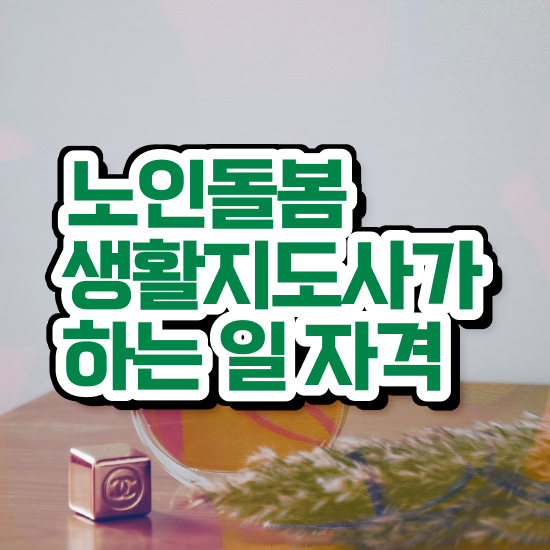  노인돌봄서비스 사업안내 , 노인돌봄생활지원사 자격증 간단하게 시험준비 , 취업 전망