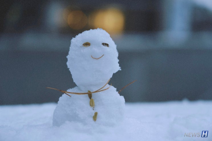  [크리스마스 노래] Sia(Sia) - Snow man[가사/해석/노래 소개]