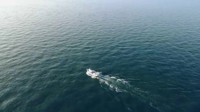  , 플로리스트 자격증 단기간에 합격한 비법 및 채용 정보