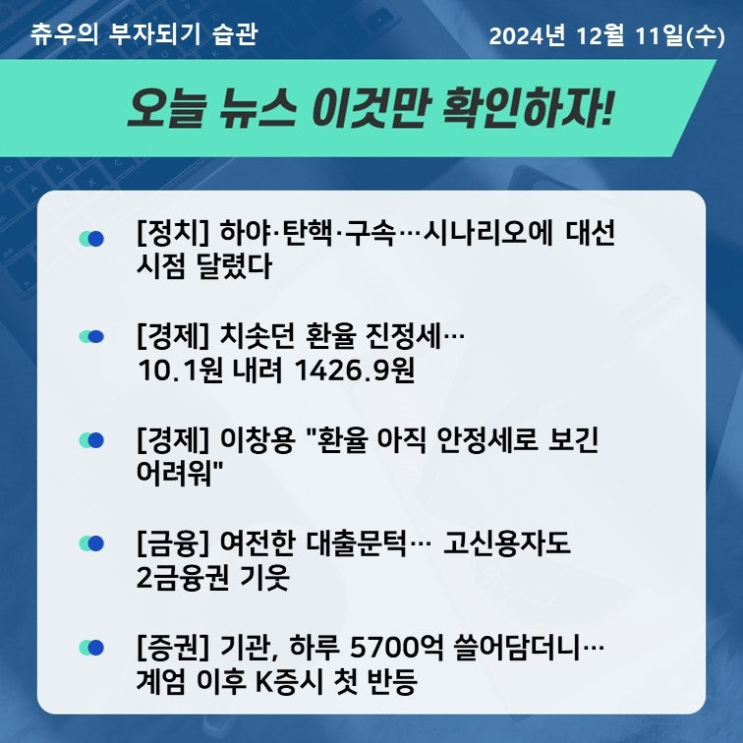 24년 12월11일 정치 경제 사회 뉴스 모음