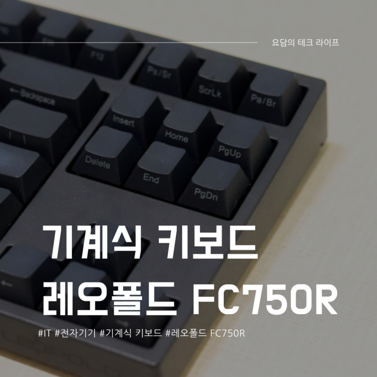  기계식 키보드 레오폴드 FC750R 갈축 8년간 사용 후기