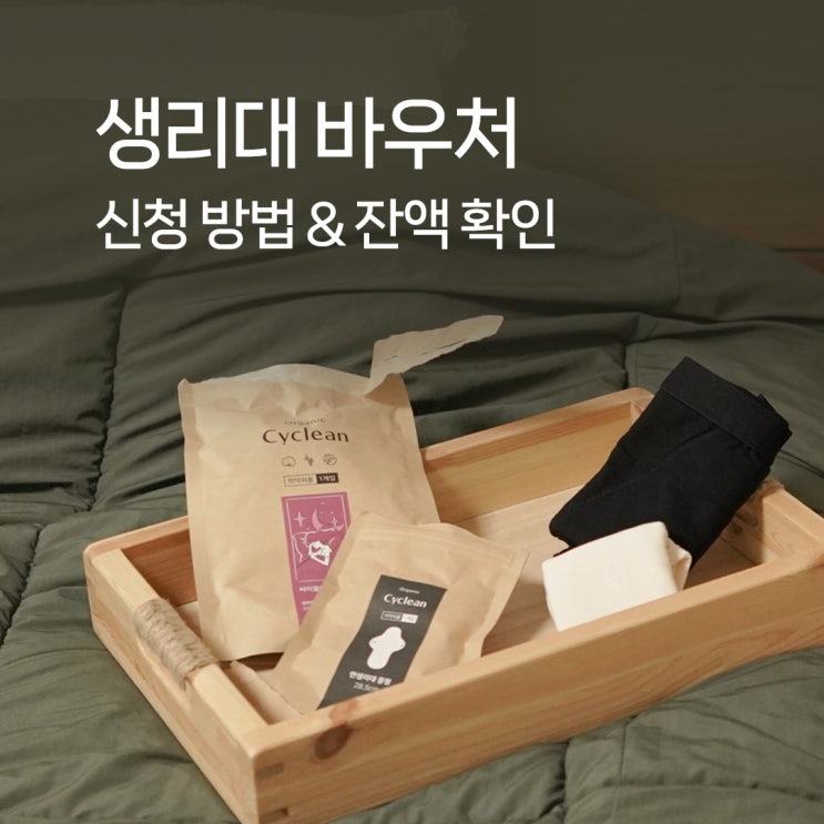  생리대 바우처 사용처, 잔액 확인하고 12월 중에 생리용품 구매하세요