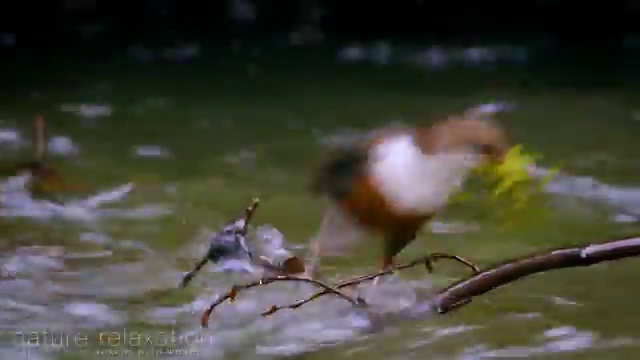  부동산개발 업 , 부동산권리분석사자격증 독학으로 준비 과정 알려드립니다