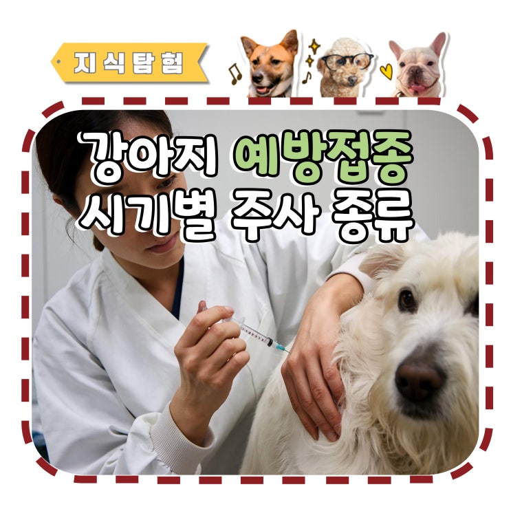  강아지 예방접종 시기별 주사 종류