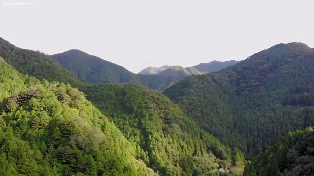  수산물품질관리원 자격증 , 단기간에 준비하는 꿀팁 모음