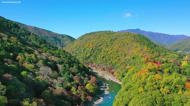  고졸사회복지사2급자격증 , 학점은행제 전공 공부 고졸 비전공자도 빠르게 준비한 방법